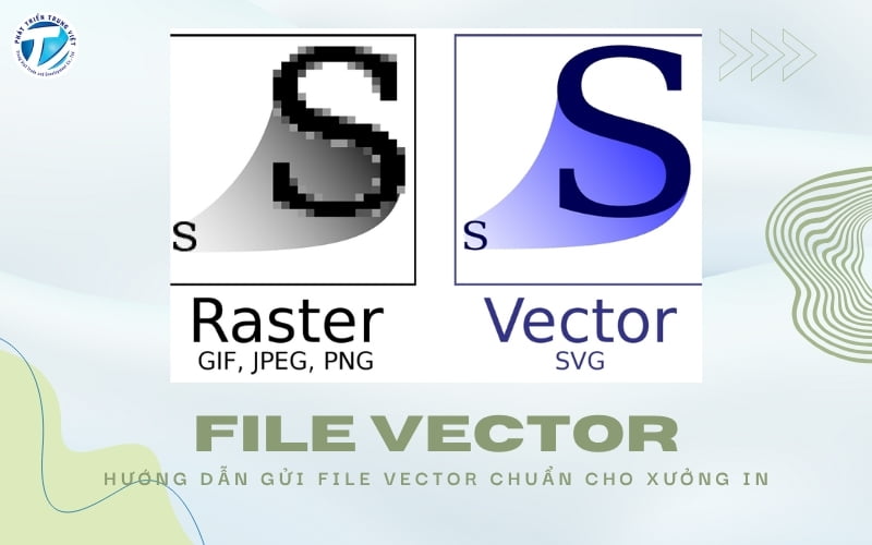 File vector trong thiết kế và in ấn